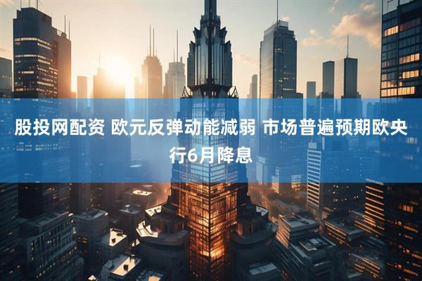 股投网配资 欧元反弹动能减弱 市场普遍预期欧央行6月降息